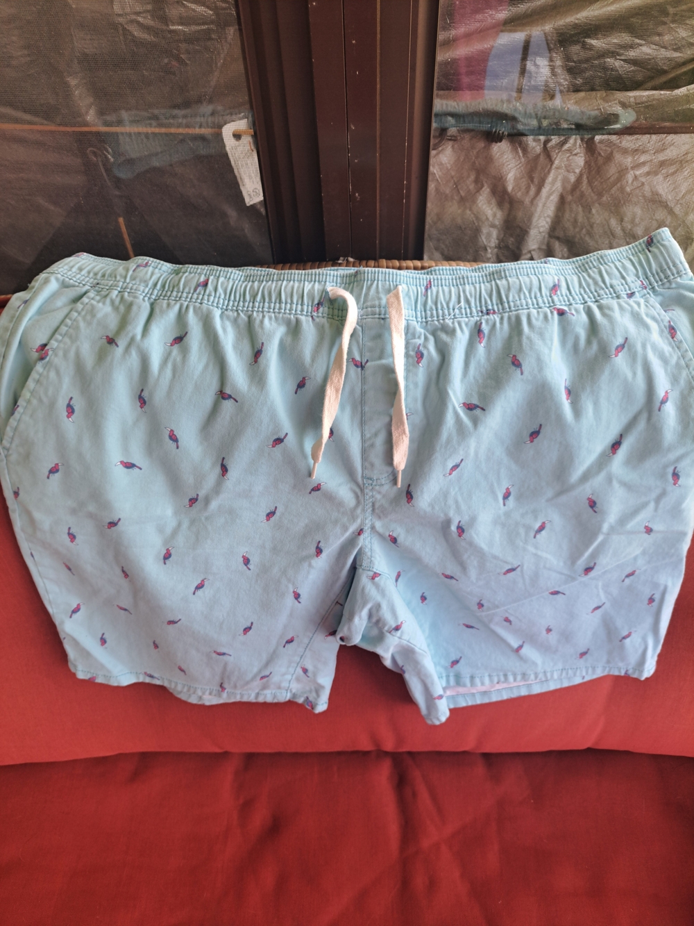 Light Blue Men's Swim Shorts with Pink Fish Print